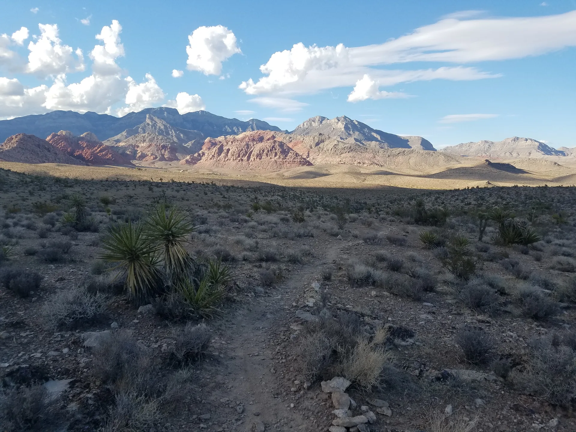 Trail through Mojave desert landscape near Las Vegas
